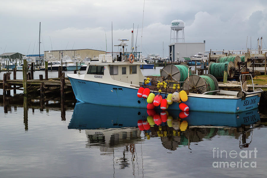 Wanchese Harbor Photograph by Tom Gallovich