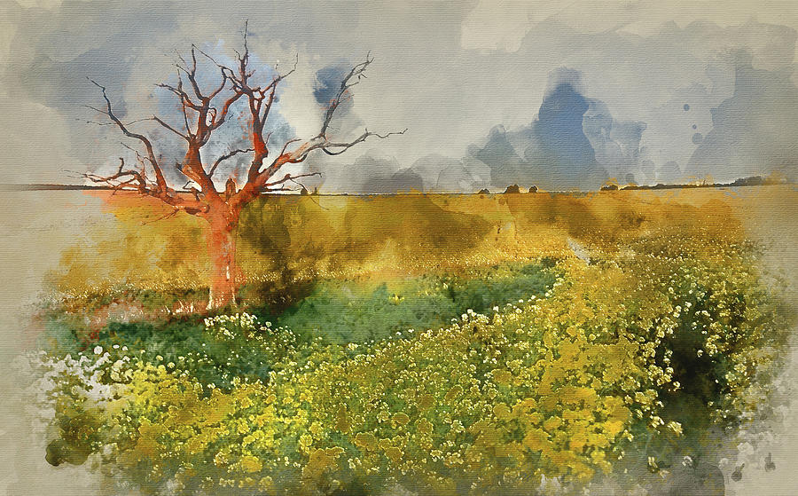 Watercolor Painting Of Sunrise Landscape Over Rapeseed Field In Digital Art