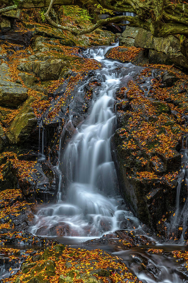 Nature Photograph - Waterfall in autumn #2 by Son Nguyen