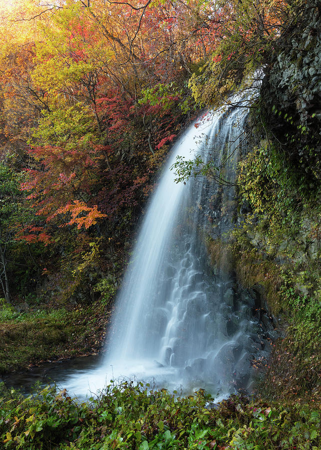 Waterfall in Japan in autumn Photograph by Tseng HanPing | Fine Art America