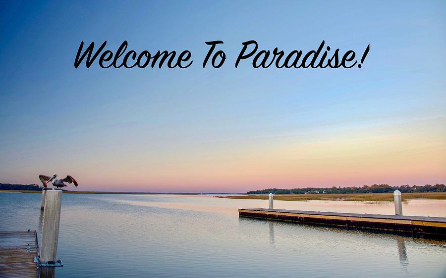 Welcome To Paradise #2 Photograph by Dennis Schmidt
