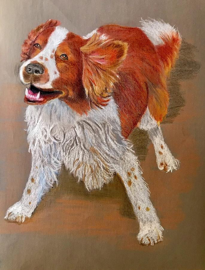 Welsh Springer Spaniel Painting