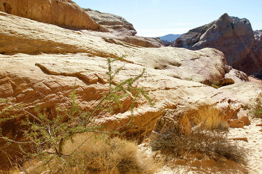 White Domes Area in Valley of Fire State Park, Nevada. #2 Photograph by ...