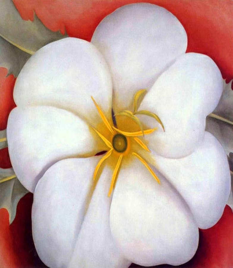 White Flower On Red Earth, No. 1, 1946 - Georgia O'Keeffe Painting by ...