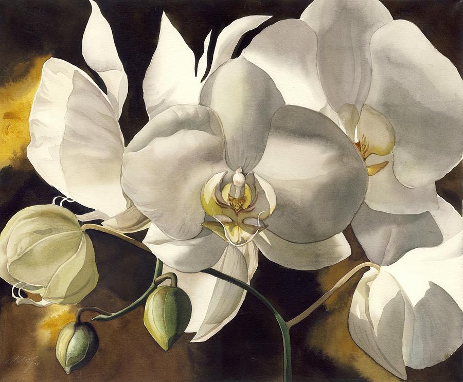 White Orchids #1 Painting by Alfred Ng