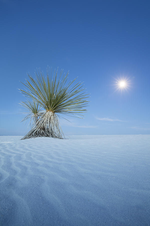 White Sands NM, New Mexico, USA #2 Photograph by David Clapp