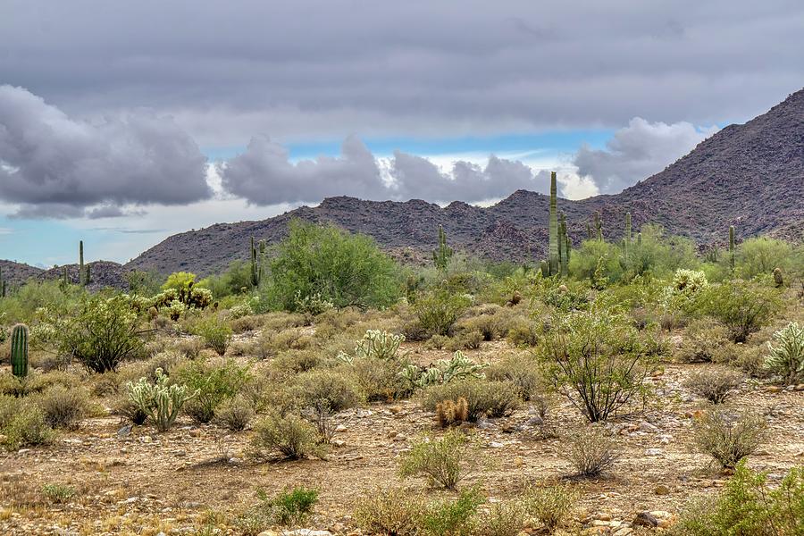 White Tank Mountain Scenes Near Phoenix Arizona #2 Photograph by Kenneth Roberts
