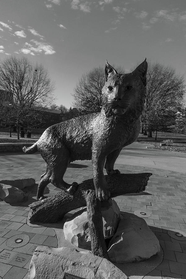 Wildcat statue at the University of Kentucky in black and white #2 Photograph by Eldon McGraw