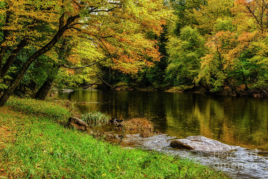 Williams River in an Autumn Rain #2 Photograph by Thomas R Fletcher