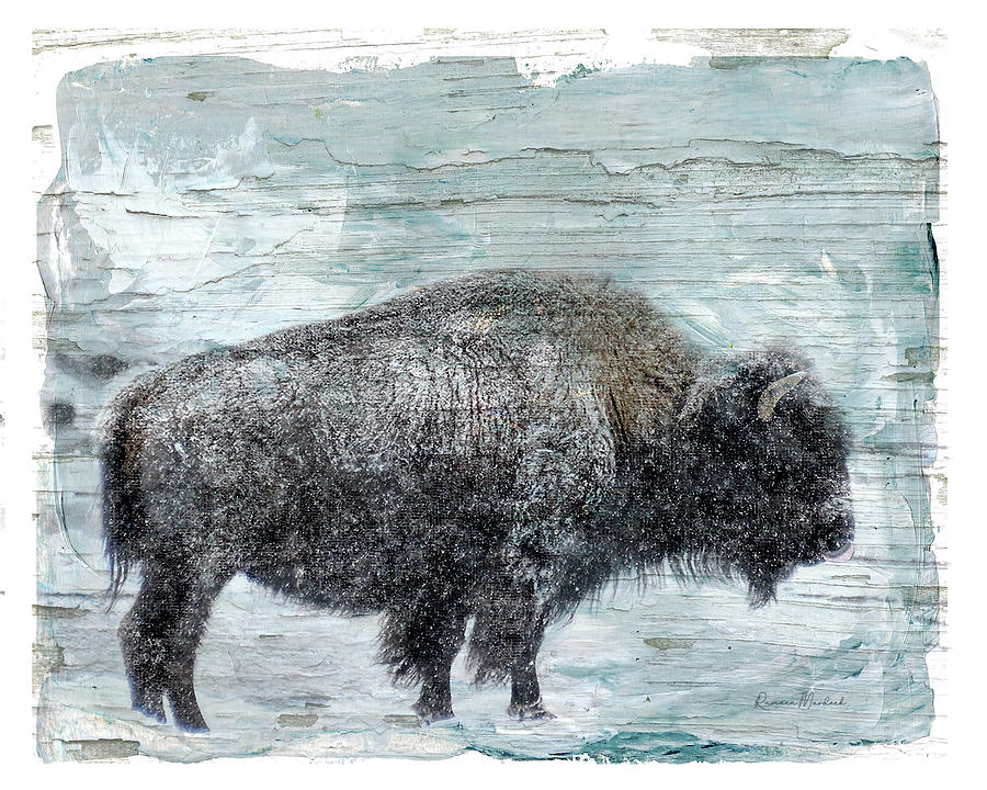 Winter Buffalo #2 Digital Art by Ramona Murdock