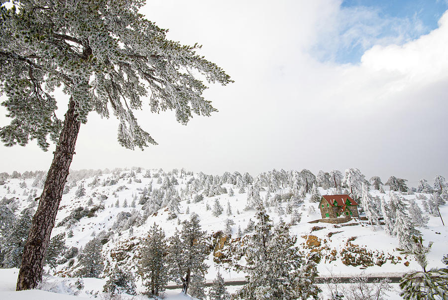 Winter Landscape, Troodos mountains Cyprus Photograph by Michalakis Ppalis