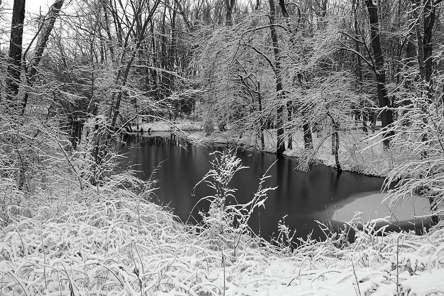 Winter Marsh #1 Photograph by Scott Kingery