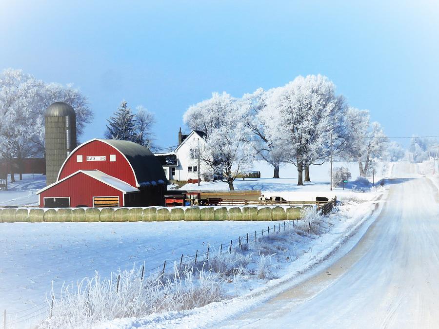 Winter on the Farm  #2 Photograph by Lori Frisch