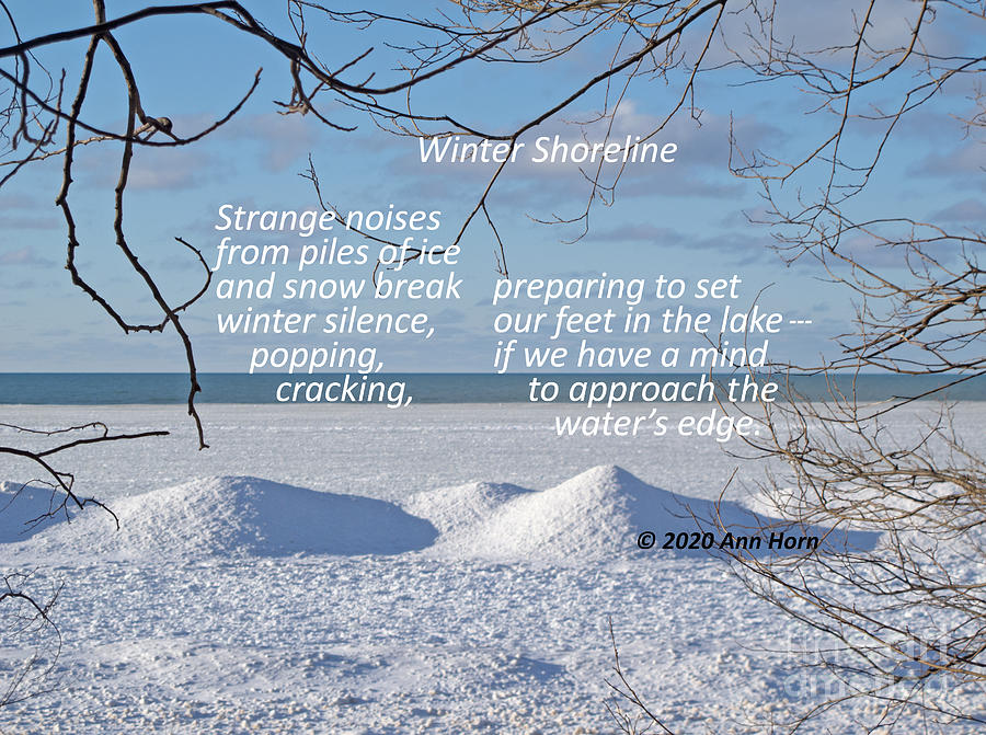 Winter Shoreline #2 Photograph by Ann Horn