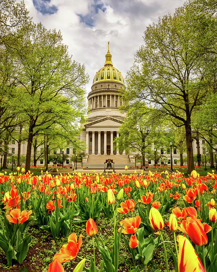 WV State Capitol in Spring #2 Photograph by SC Shank