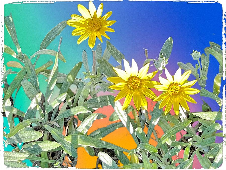 Yellow Flowers #2 Digital Art by Kathleen Boyles