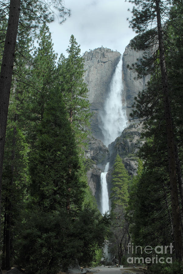 Yosemite Falls #2 Photograph by Richard Verkuyl