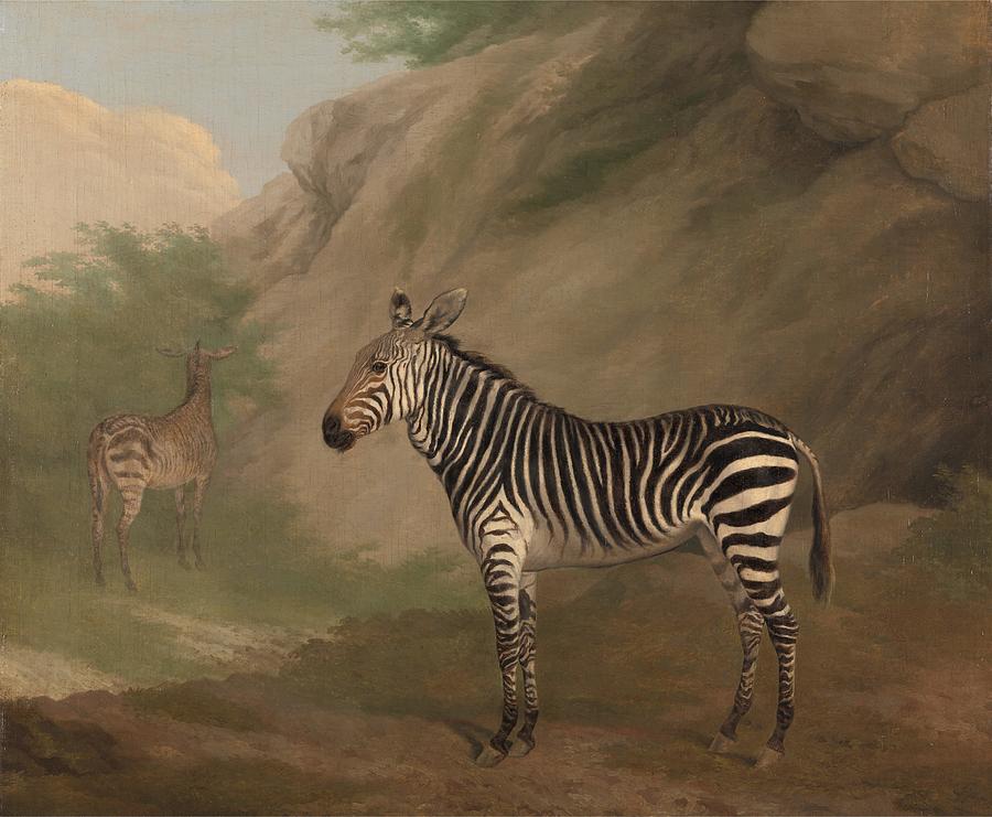 Jacques Laurent Agasse Painting - Zebra  #2 by Jacques Laurent Agasse