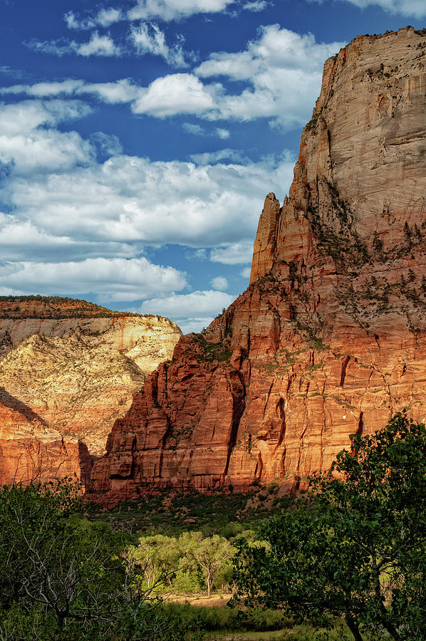 Zion National Park In Utah #2 Photograph by Jim Vallee