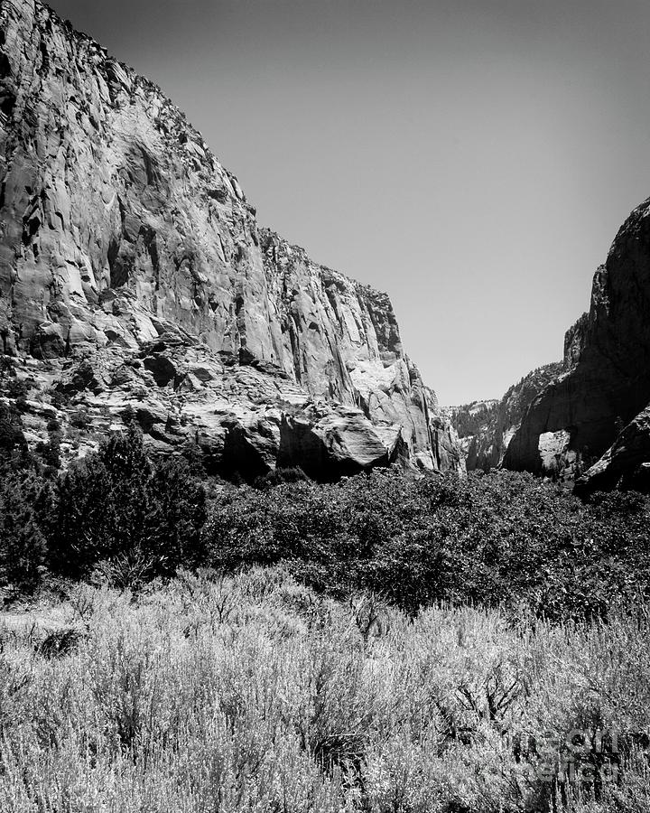 Black And White Photograph - Zion National Park Utah #6 by Bob Pardue