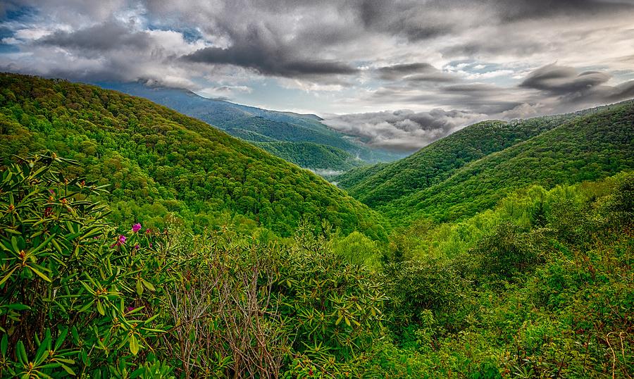 Blue Ridge Mountains Near Mount Mitchell And Cragy Gardens #20 Photograph by Alex Grichenko