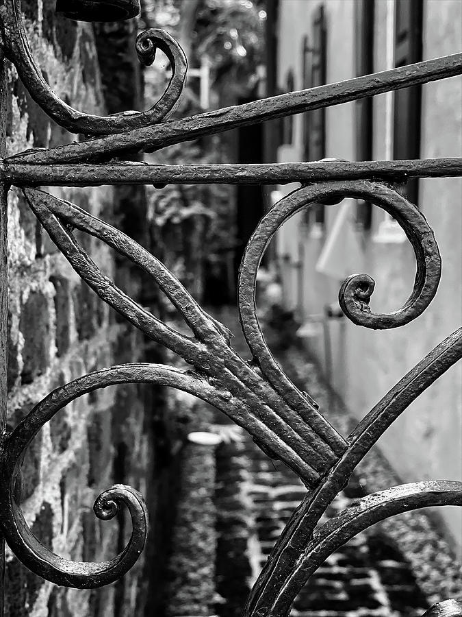 Charleston Wrought Iron Garden Gate in Detail, South Carolina #20 Photograph by Dawna Moore Photography