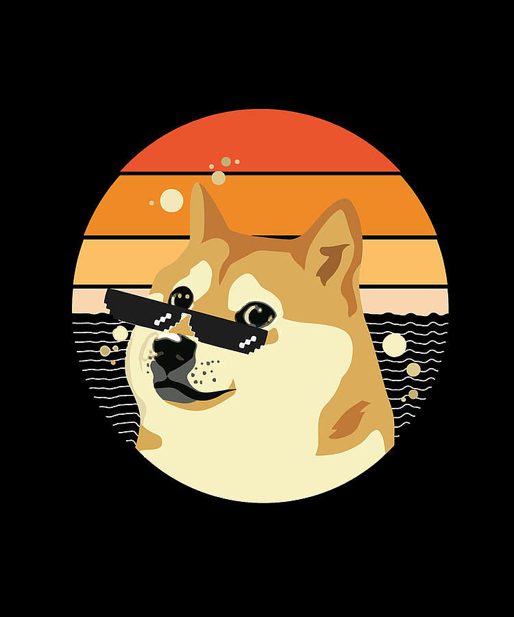 doge crypto price