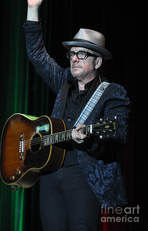 Elvis Costello Photograph By Concert Photos - Fine Art America