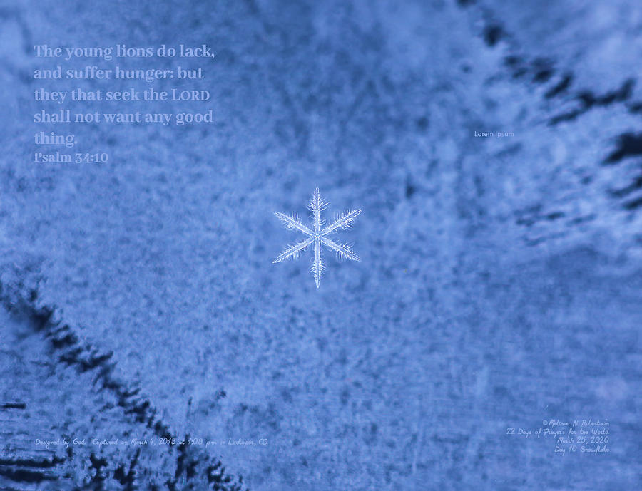 Inspirational Real Life Snowflake Photograph Bible Verse Scripture #20 ...