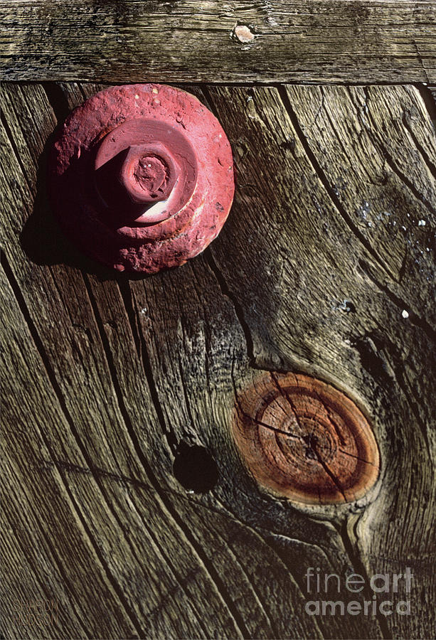 weathered wood photograph - The Pink Flange Photograph by Sharon Hudson