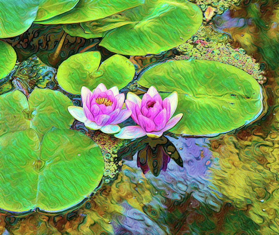 20 Water Lily Abstract Digital Art