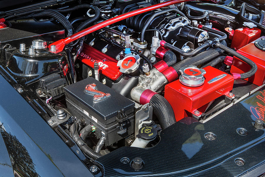 2009 Ford Shelby Mustang Super Snake GT500 X115 Photograph by Rich ...