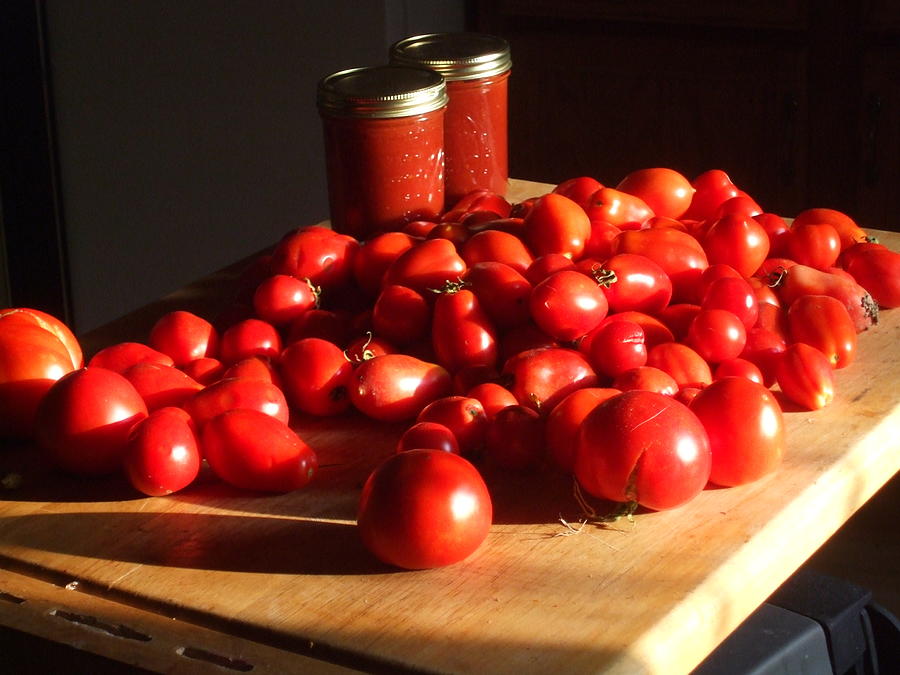 2010 Tomatoes Photograph by Barbara Keith