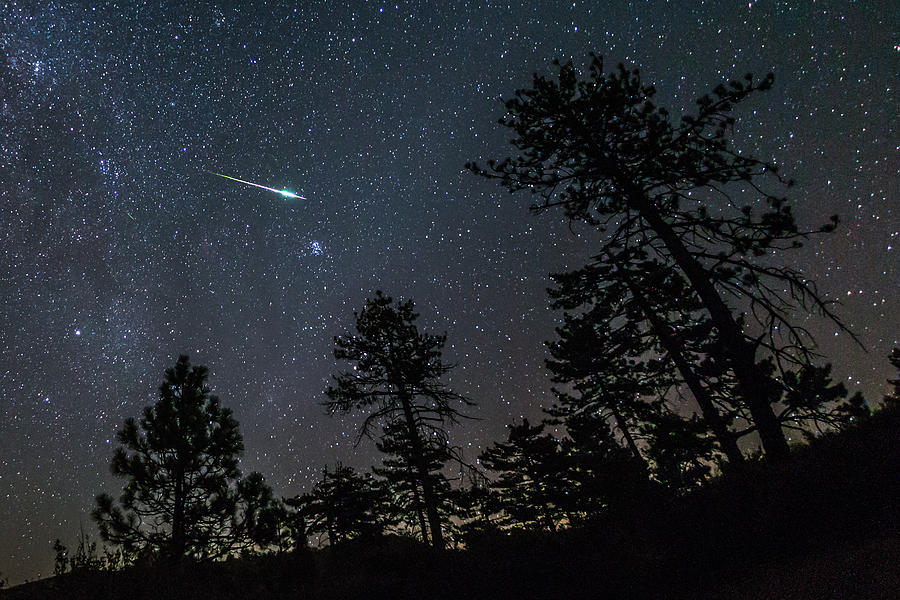 2016 Perseid Meteor Fireball Streaks Above Pine Trees Photograph by Kevin Key / Slworking