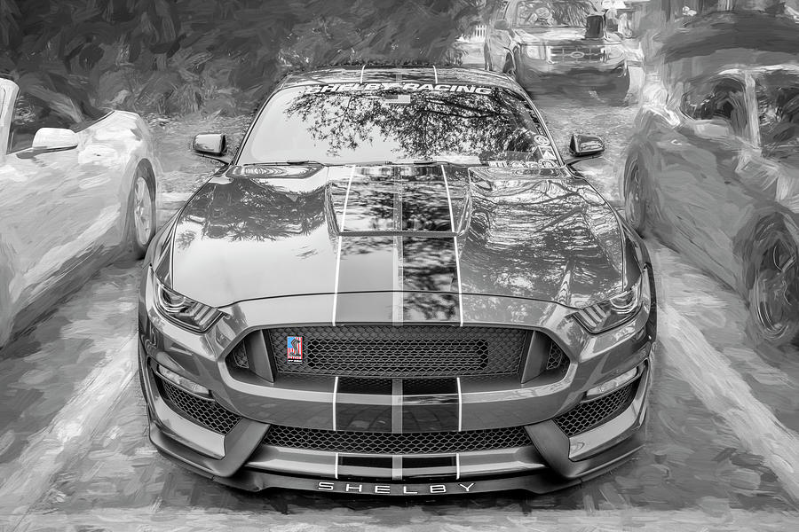 2017 Silver Ford Shelby Mustang GT350 X222 Photograph by Rich Franco
