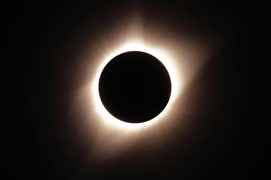 2017 Total Eclipse Photograph by Rick Perkins
