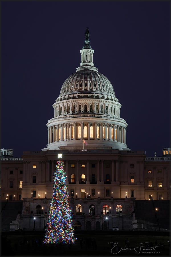 2018 Capitol Christmas Photograph by Erika Fawcett