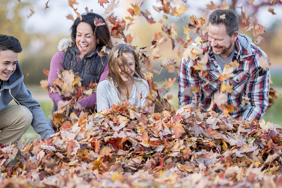 20180516_Family in Fall_03 Photograph by FatCamera