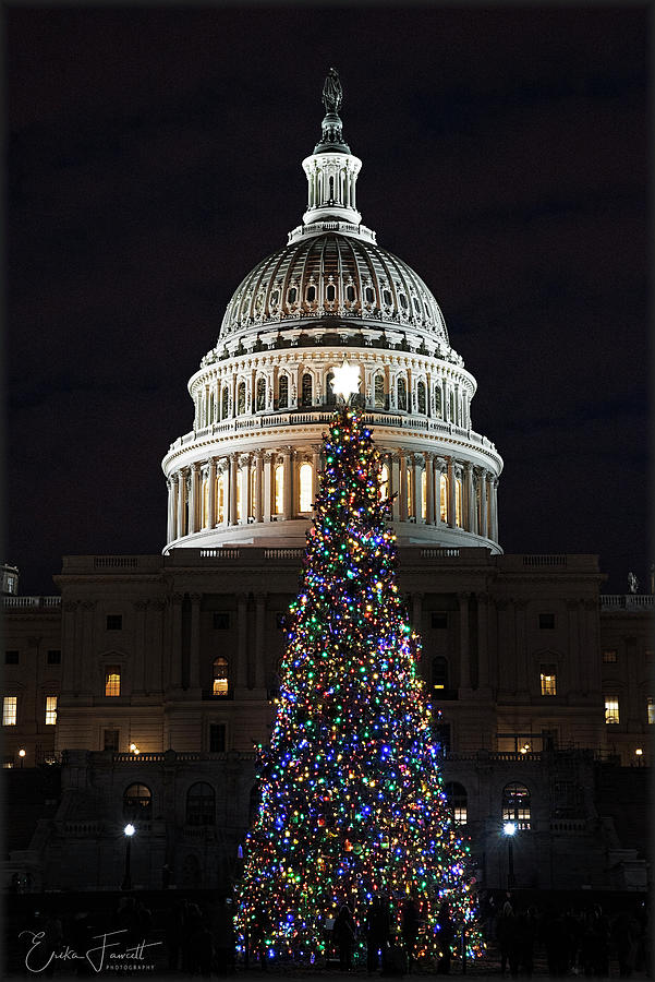 2019 Capitol Christmas Photograph by Erika Fawcett