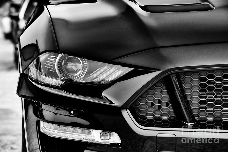  2019 Ford Mustang GT Monochrome #2019 Photograph by Tim Gainey