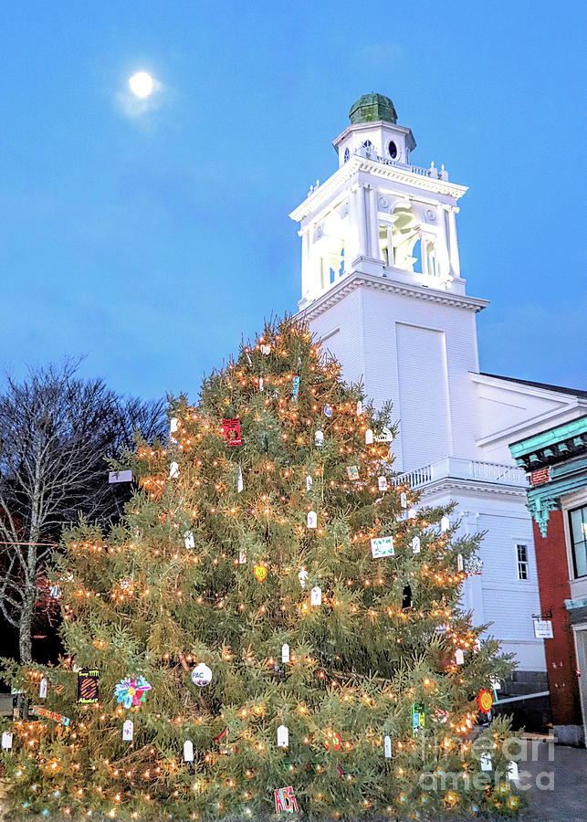2019 Town Square Christmas tree Photograph by Janice Drew