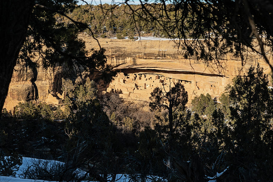 201902080-111 Mesa Verde Cliff Dwellings 111 Photograph by Alan Tonnesen