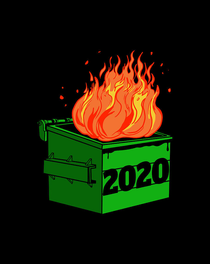 2020 Dumpster Fire Novelty 2020 Bad Year Digital Art by Luke Henry