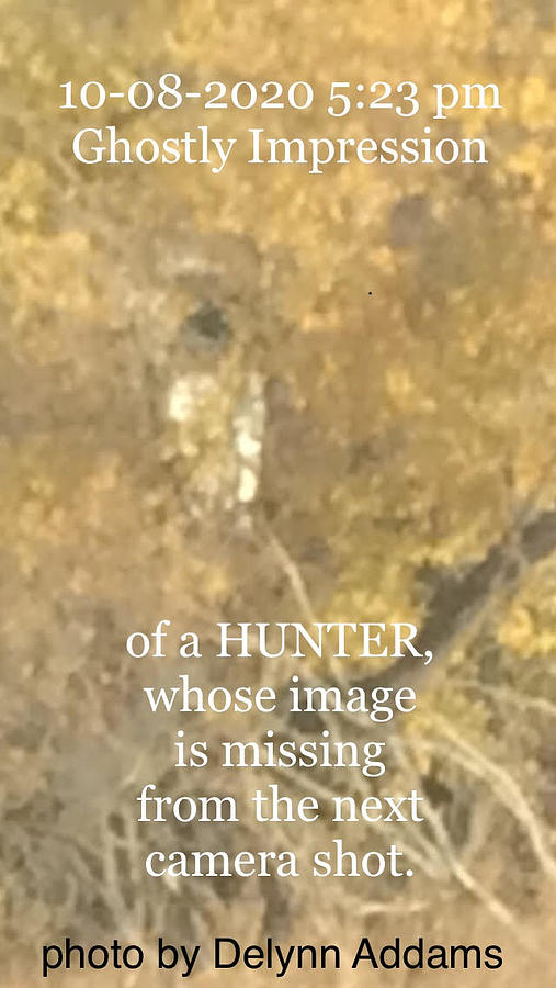 2020 Ghostly Impress of a Hunter Trespasser  Digital Art by Delynn Addams