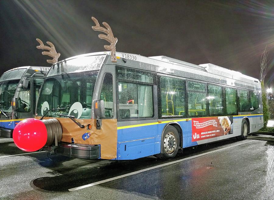 2020 Reindeer Bus Photograph by Darrell MacIver | Fine Art America