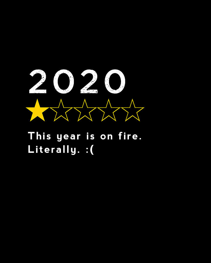 2020 Review - This year is on fire - Literally Digital Art by Nikki Marie Smith