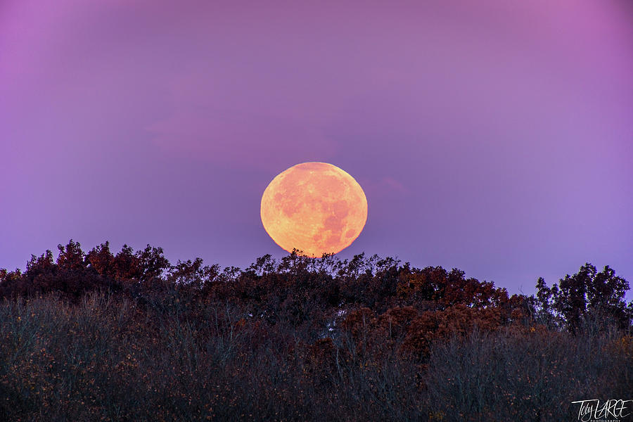 2021 11 19 Setting Beaver Moon Photograph By Toby Large