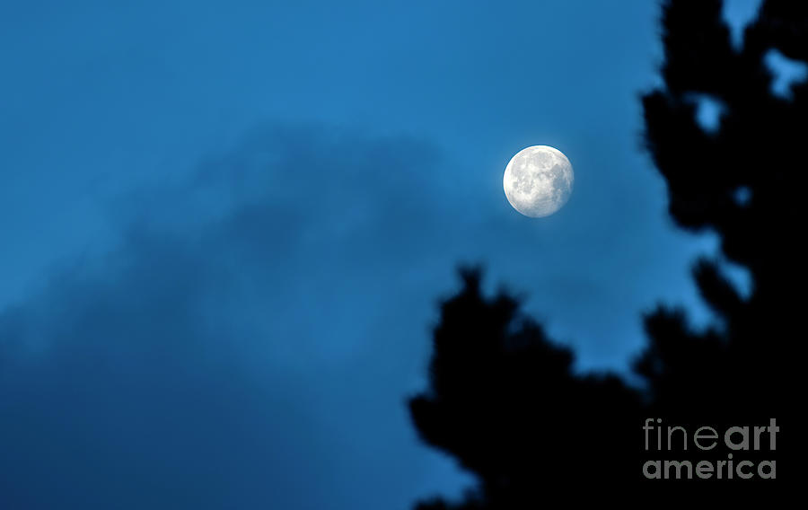 2021 Worm Moon Photograph by Jon Burch Photography
