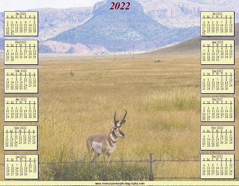 2022 Calendar Davis Mountains Pronghorn Photograph