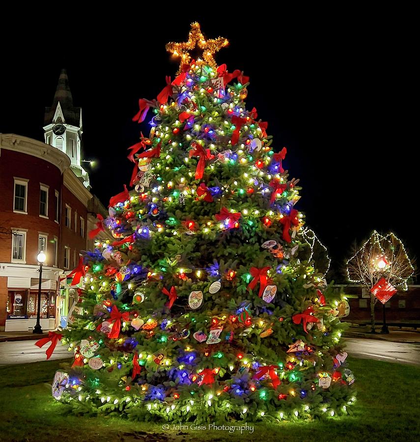 2022 Christmas Tree in Rochester  Photograph by John Gisis